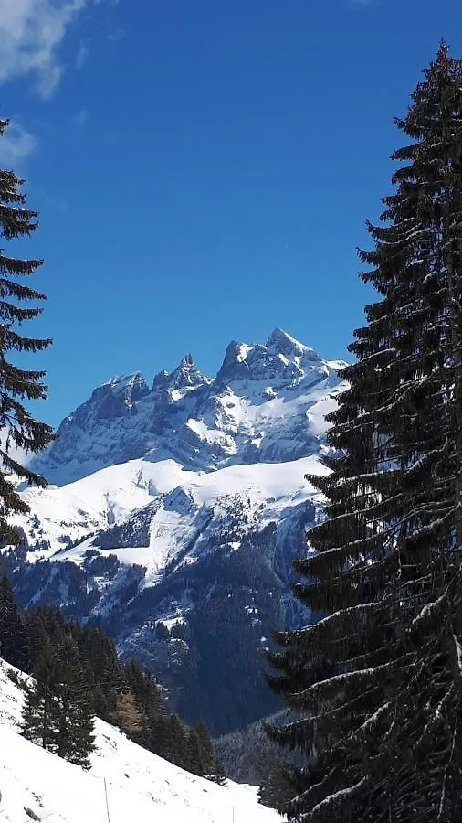 Ferienwohnung Le Mazot - Avoriaz 0*,  Frankreich